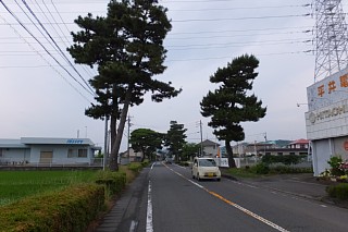 photo-20150614-13