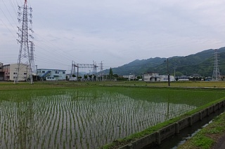 photo-20150614-2