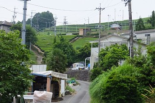 photo-20150614-27