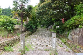 photo-20150614-28