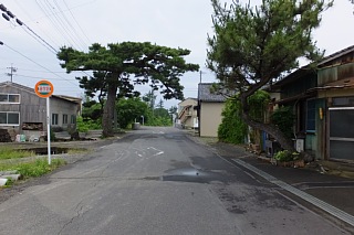 photo-20150614-3