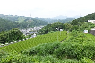 photo-20150614-30