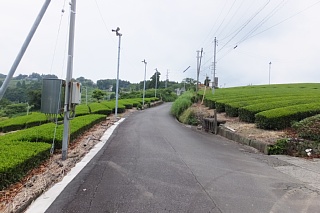 photo-20150614-34