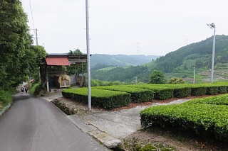 photo-20150614-35