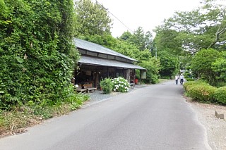 photo-20150614-36
