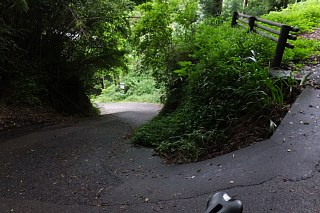 photo-20150614-37