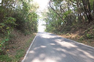 photo-20151024-107