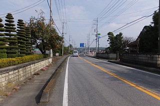 photo-20151024-25