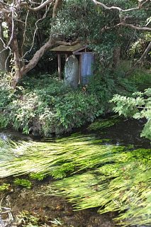 photo-20151024-37