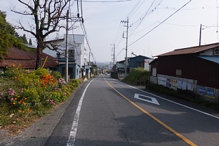 photo-20151024-8