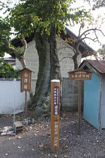 photo-20151024-9