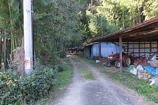 photo-20151025-13