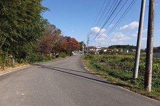 photo-20151025-14