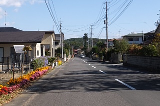 photo-20151025-15