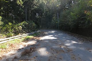 photo-20151025-17
