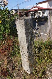 photo-20151025-19
