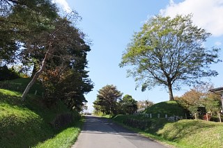 photo-20151025-29
