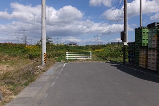 photo-20151025-44