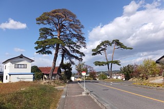 photo-20151025-55