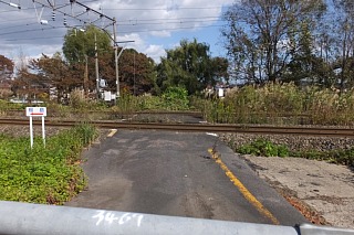 photo-20151025-57