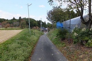 photo-20151025-60