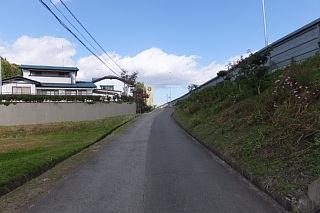 photo-20151025-69