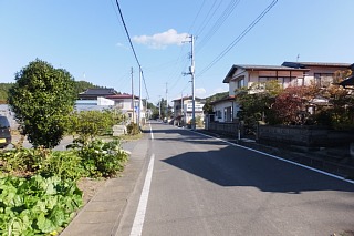 photo-20151025-7
