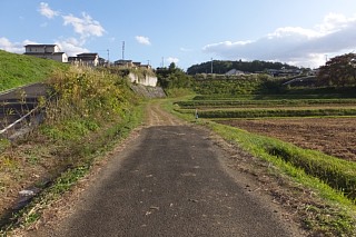 photo-20151025-88