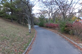 photo-20151025-93