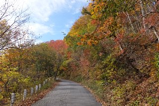 photo-20161030-40