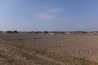 photo-20170305-5