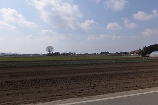 photo-20170305-9