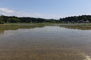photo-20170514-53