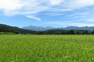 photo-20180818-25