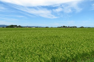 photo-20180818-36