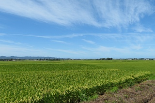 photo-20180818-39
