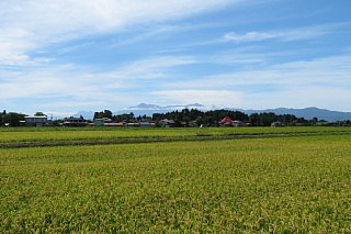 photo-20180818-42
