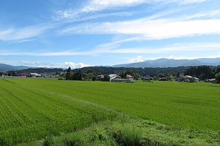 photo-20180818-7
