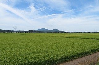 photo-20180819-10