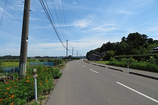 photo-20180819-6