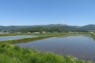 photo-20220529-2