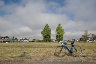 photo-20231014-11