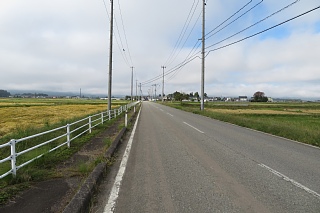 photo-20231014-12