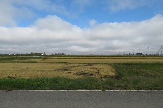 photo-20231014-13