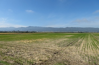 photo-20231014-26