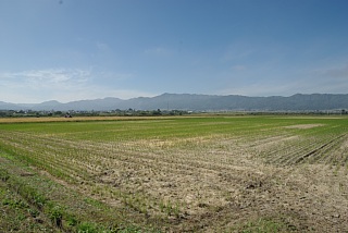 photo-20231014-28