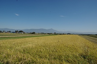 photo-20231014-32