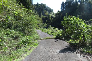 photo-20231014-40