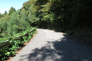 photo-20231014-42
