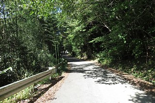 photo-20231014-43